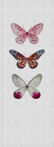 Beaulieu Gris Rosa  - hover