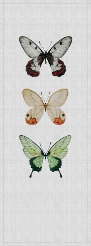 Beaulieu Gris Vert  - hover
