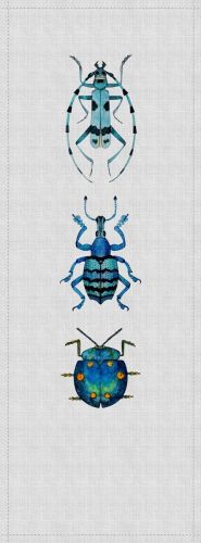 Alby Grey Blue  - hover