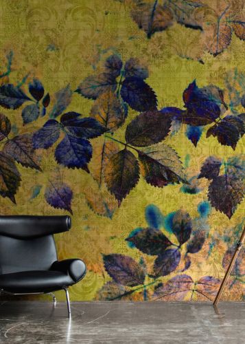 Arcadia Yellow Blue 