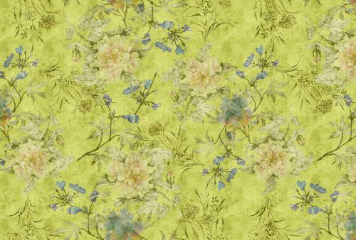 Amporo Light Green  - hover