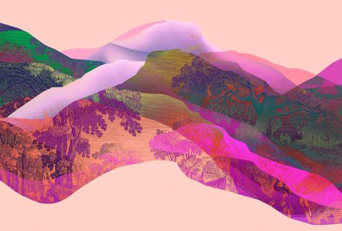 Oren Pink  - hover