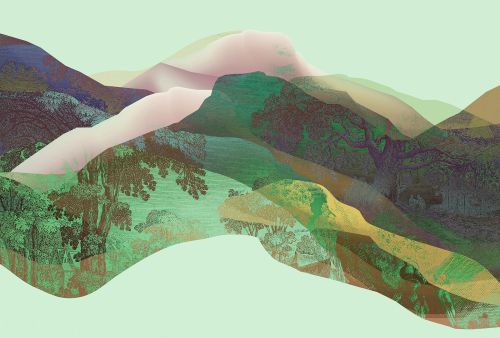 Oren Vert Rose - hover