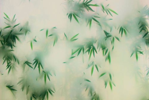 Maximin Vert Jaune - hover