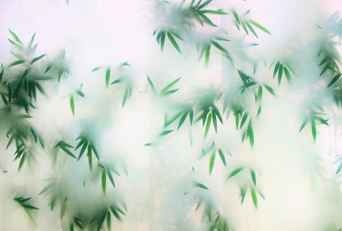 Maximin Vert Blanc - hover