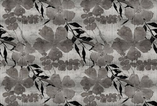 Damienne Grey - hover