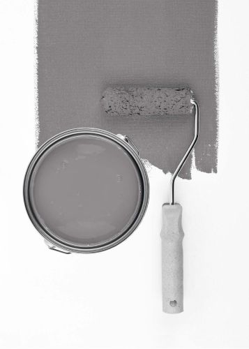 Cool Grey "c1004"