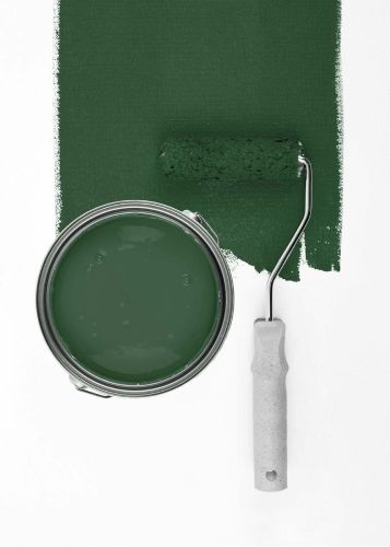 Sage Green "c5005" - hover