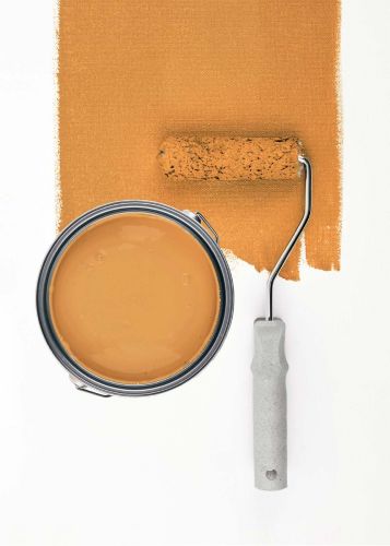Smooth Saffron "c8013"