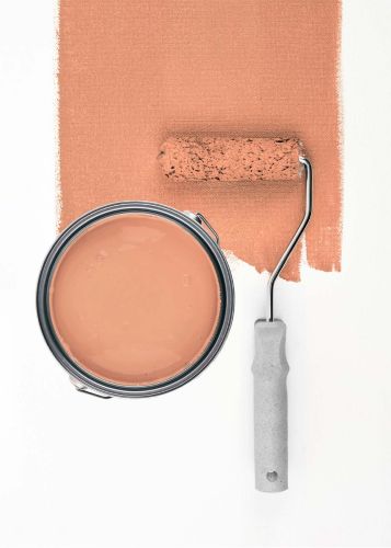Diverse Apricot "c9013" - hover