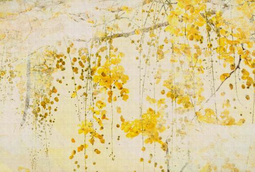 Simeon Yellow - hover