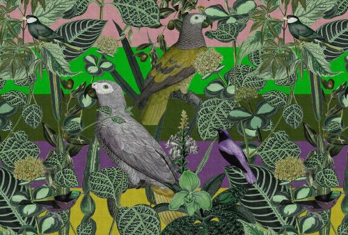 Cleophas Green Multicolor - hover
