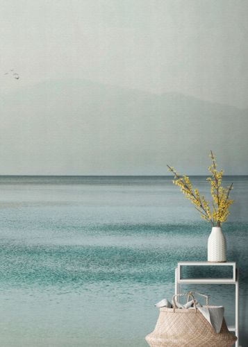 Ovilor Bleu Clair 