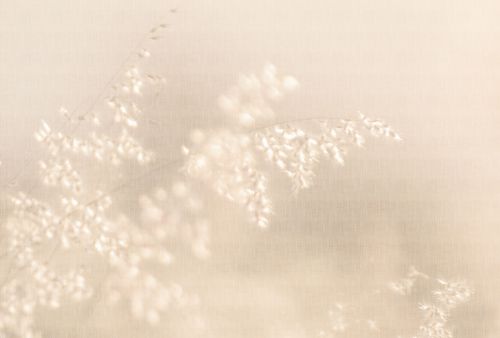 Émrys Beige  - hover