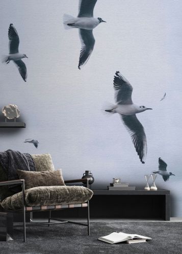 Calior Grey Blue 