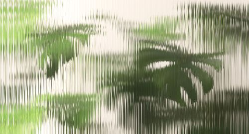 Aliréa Beige clair Vert  - hover