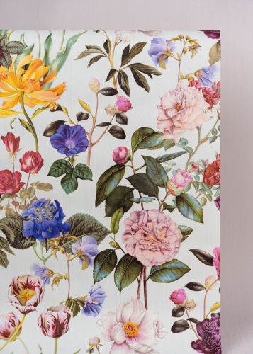Marguerite Colorée