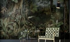 Jungle & tropical